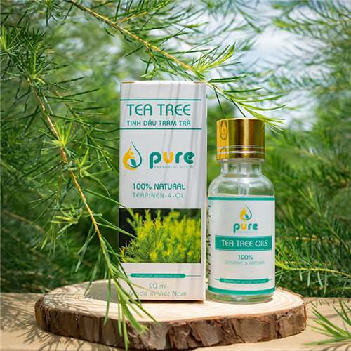 Bán Tinh dầu tràm Trà Pure 20ml