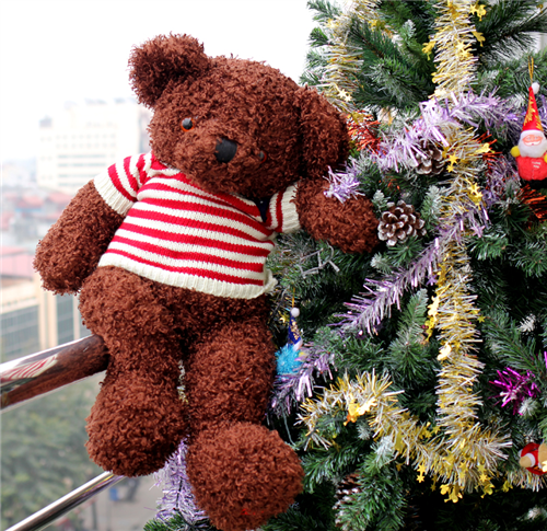 Bán Gấu Teddy áo kẻ