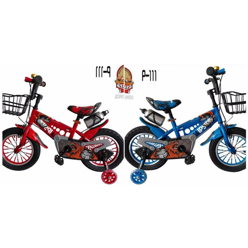 Bán Xe đạp cao cấp Phillips 25XD.TFFLL