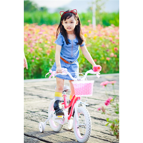 Bán Xe đạp cho bé Royal Baby Star RB16G