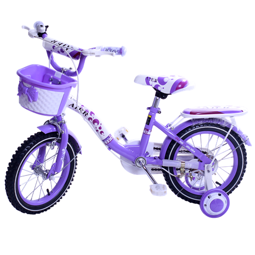 Bán Xe đạp trẻ em AIER AB-303