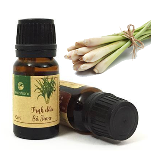 Bán Tinh dầu sả Java 10ml