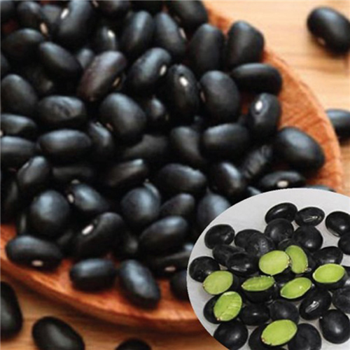 Bán Đỗ đen xanh lòng 500g - Sản phẩm tự nhiên