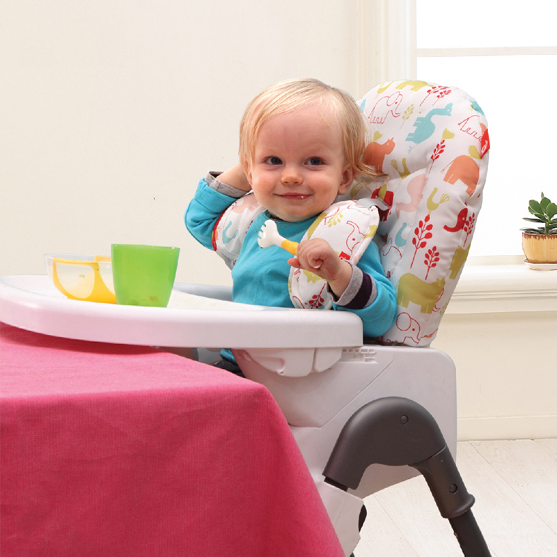Ghế ăn Goodbaby Y5800