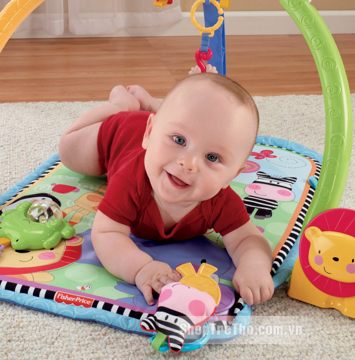 Thảm nằm chơi Discover Fisher Price W9898