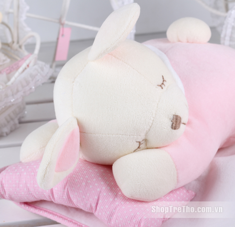 Bộ chặn cho bé xuất khẩu BB099009