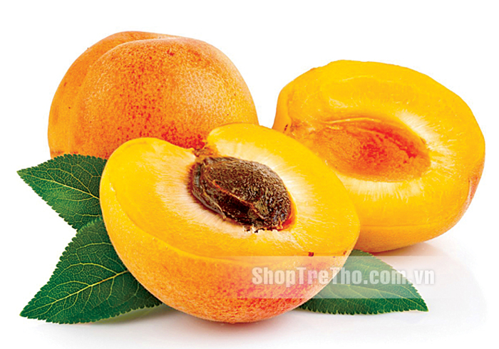 Dinh-duong-dong-lo-HiPP-chuoi-mo-(125g)