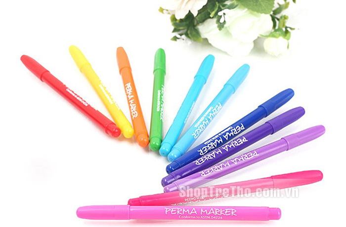 Bộ bút lông 12 màu Colormate MS-12PER