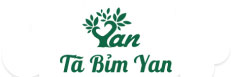 ANGEL YAN