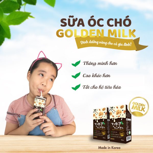 Sữa óc chó Golden Milk