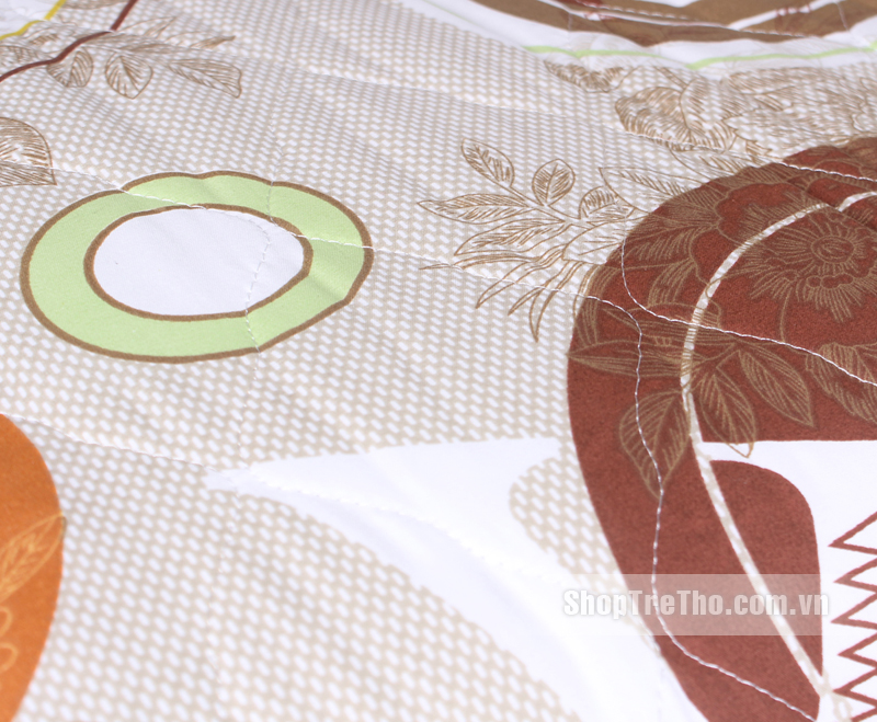 Chăn điện Hanil cotton Hàn Quốc