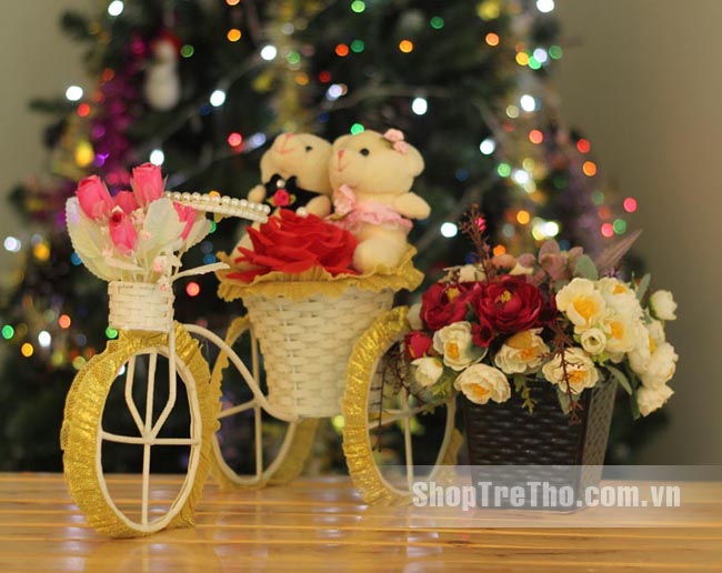 hoa gấu bông xe đạp gấu