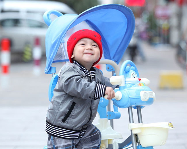 Xe đẩy 3 bánh 231G