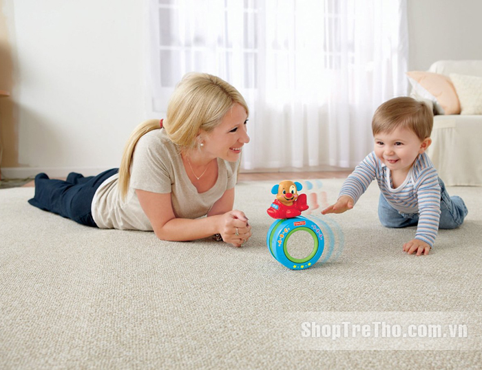 Đồ chơi con lăn Puppy Fisher Price Y4231