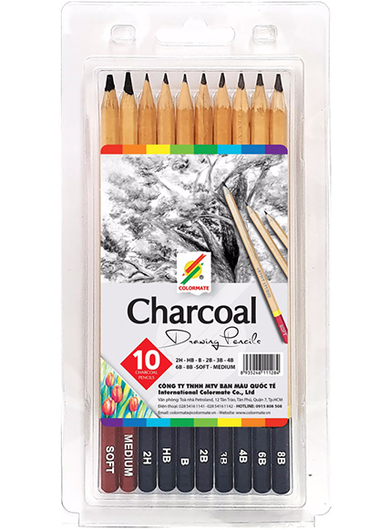 Hộp nhựa 10 cây chì phác thảo thân gỗ Artist MS-10