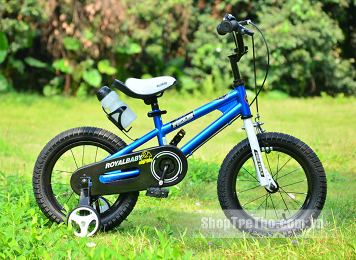 Xe đạp Freestyle màu xanh