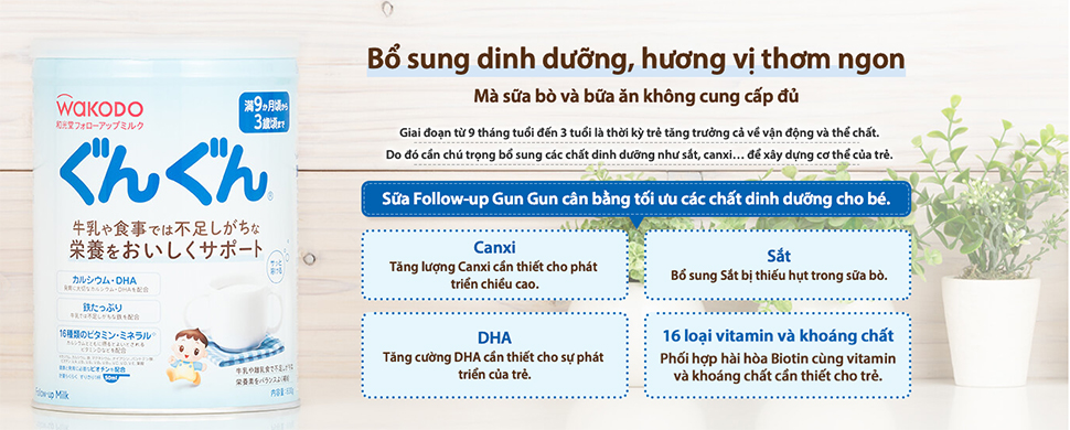Sữa Wakodo Gun Gun số 9 830g