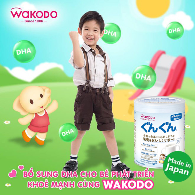 Sữa Wakodo Gun Gun số 9 300g