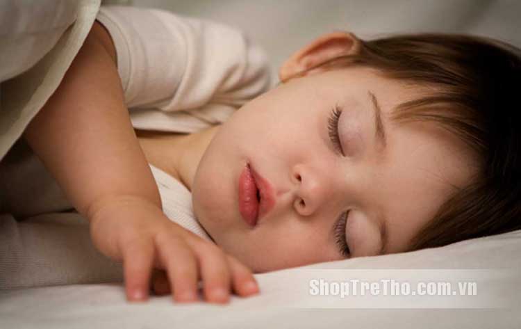 Gối đinh lăng cao cấp cho bé