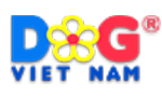 D&G Việt Nam