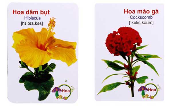 Thẻ học thông minh chủ đề hoa