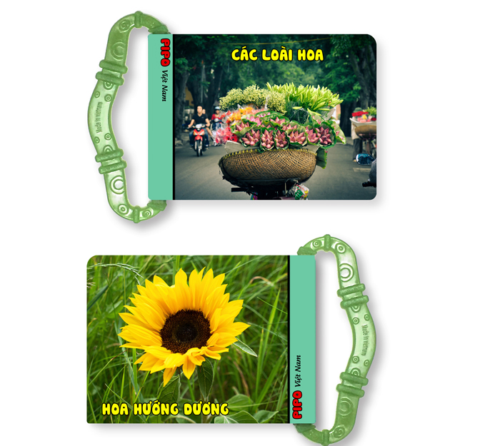 sach-vai-gam-nuou-pipo-viet-nam-cac-loai-hoa