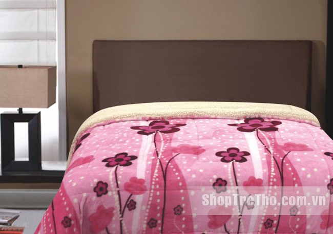 Chăn lông cừu xuất khẩu nhiều màu 2.2m x 2.4m
