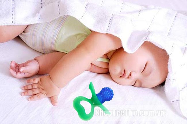 Ty ngậm hình trái cây S1614