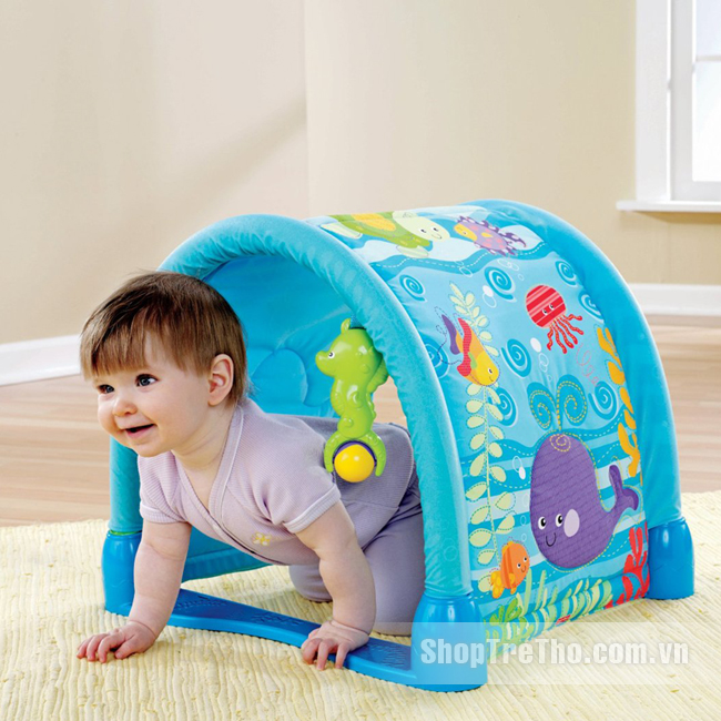 Thảm chơi Fisher Price FP P5331