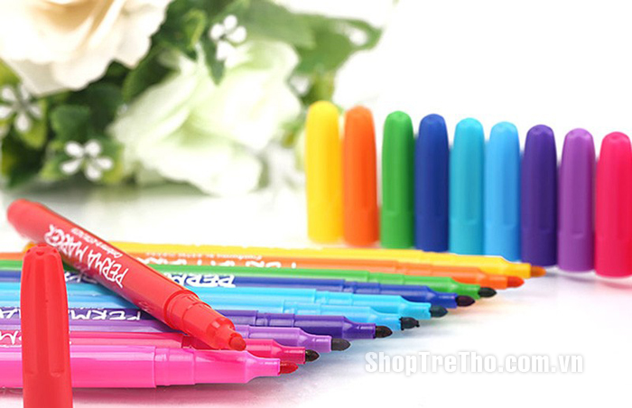 Bộ bút lông 12 màu Colormate MS-12PER