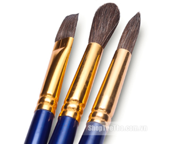 Bộ 5 cây cọ vẽ MS-05BRS