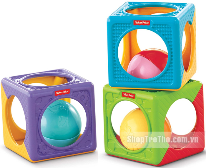 Đồ chơi xếp khối đa sắc Fisher Price Y6977