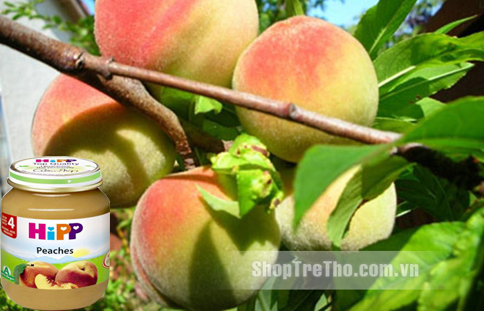 Dinh dưỡng đóng lọ hipp đào tây 125g