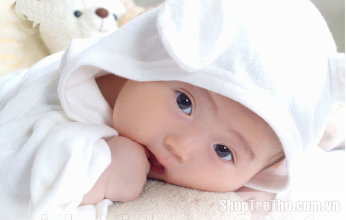 Khăn sữa hàng Việt Nam cao cấp cho bé