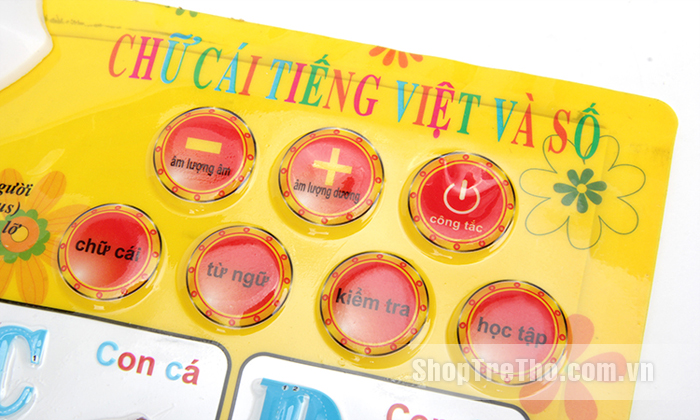 Tranh phát âm trí tuệ 2 mặt chủ đề chữ cái nổi