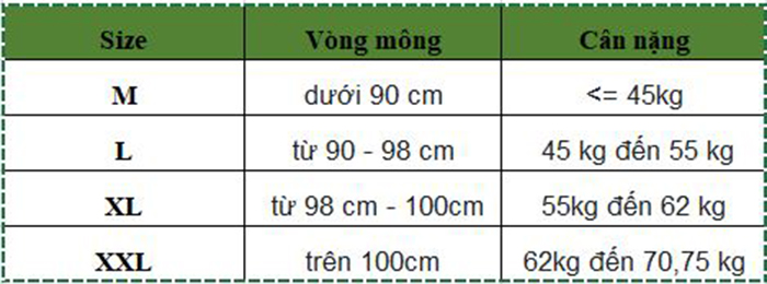 Quần lót bầu cạp cao họa tiết táo + hoa Emum Size XL