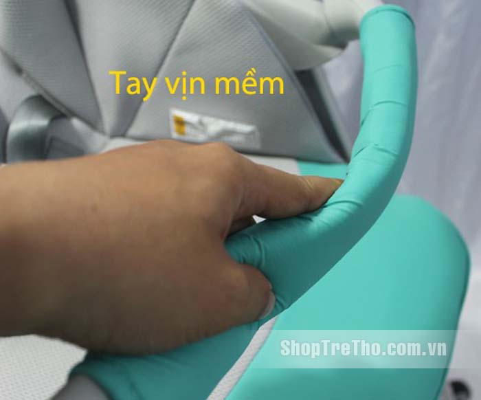 Xe đẩy Goodbaby D829A - 4