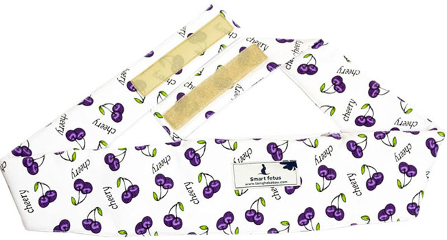 Tai nghe bà bầu Smart Fetus SMF002 - New (chính hãng) 