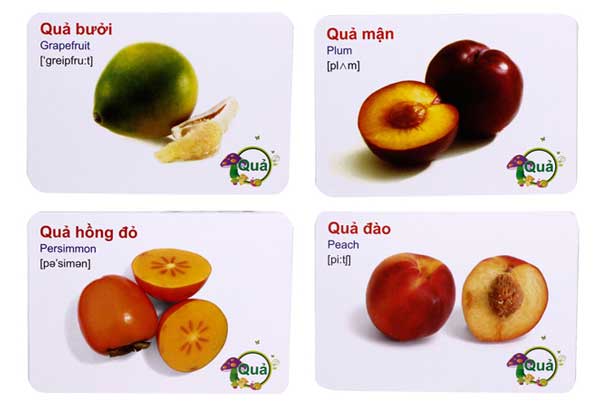 Bộ thẻ học thông minh chủ đề về các loại quả