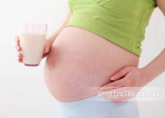 sưa x dành cho bà bầu