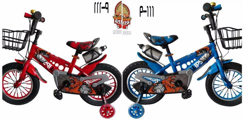 Xe đạp cao cấp Phillips 25XD.TFFLL