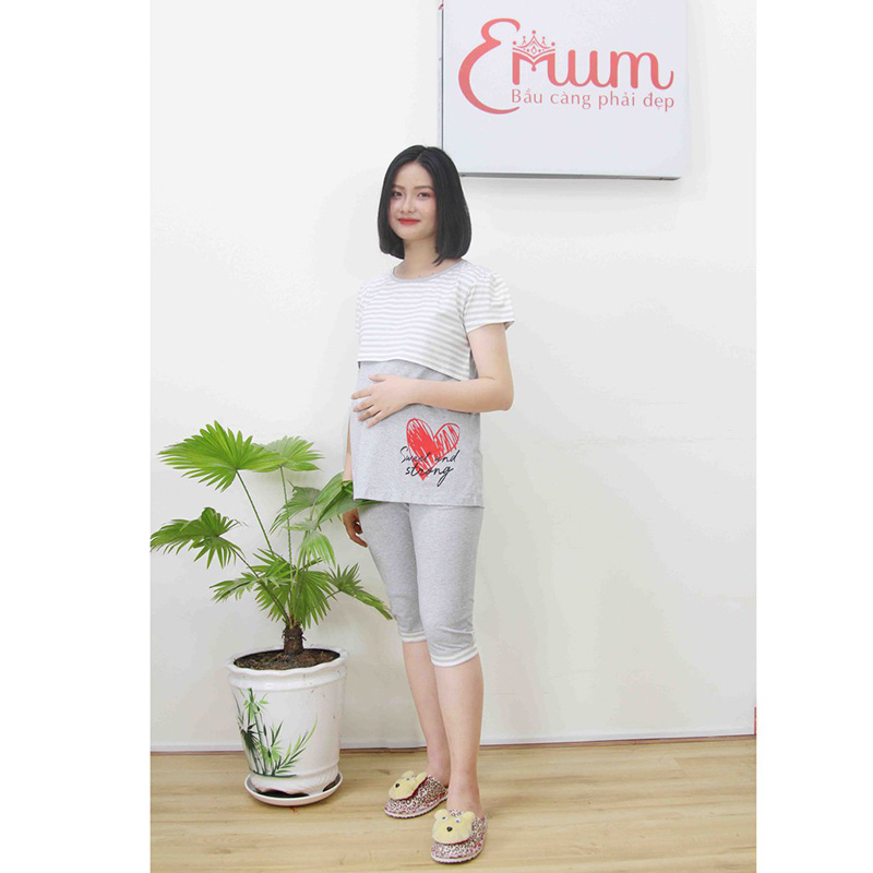 Bộ bầu lửng xám lợt Emum