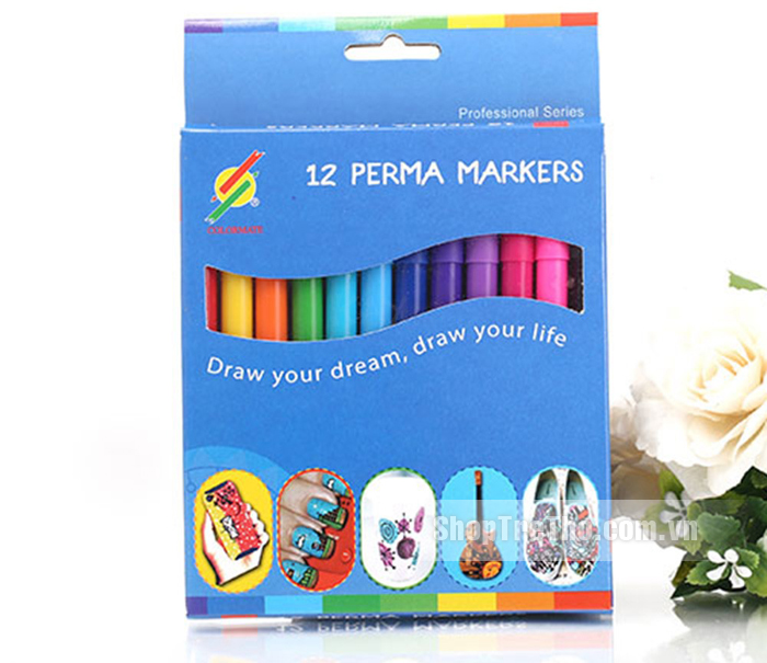 Bộ bút lông 12 màu colormate  MS-12PER