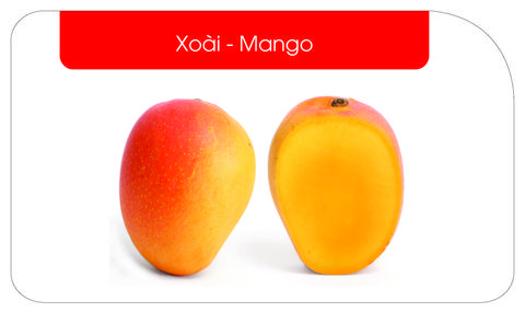 Bốn mùa trái ngọt
