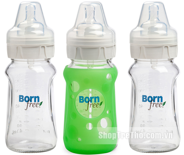 Bộ 3 bình thủy tinh Born Free 260ml