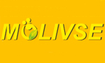 Molivse