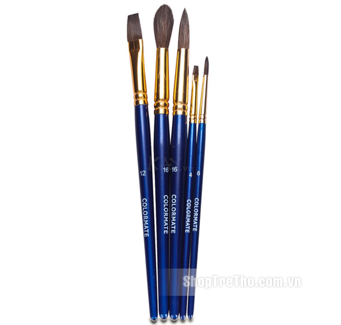 Bộ 5 cây cọ vẽ MS-05BRS