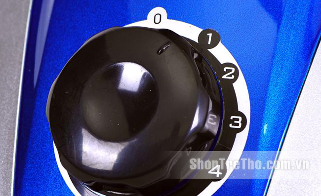 Bàn là cây hơi nước Philiger GS-308