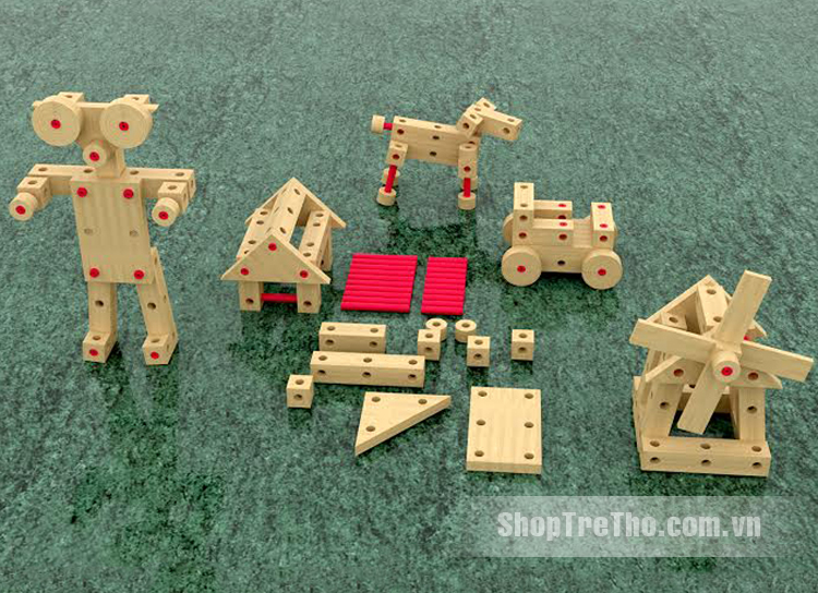 Bộ lắp ráp kỹ thuật Woody WD036