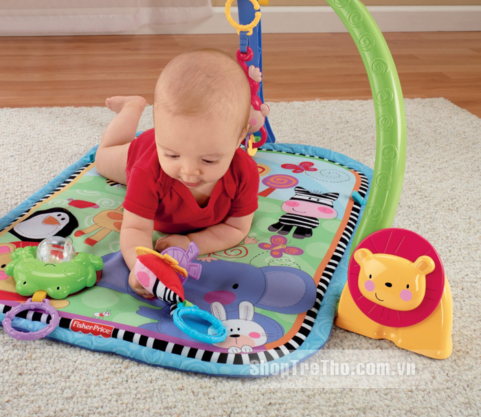 Thảm nằm chơi Discover Fisher Price W9898
